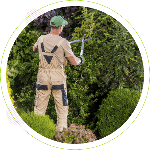 entretien-de-jardin-jardin-ideal-bezannes